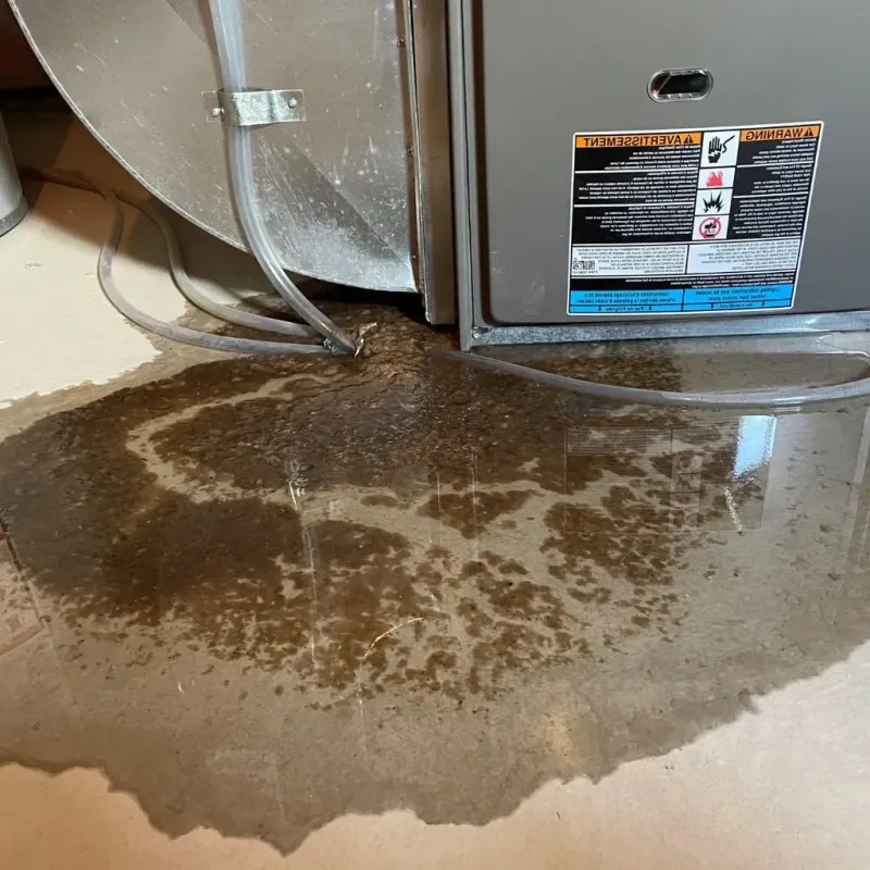 Pipe Burst and Leak Restoration in Jackson, SC